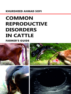cover image of Common Reproductive Disorders in Cattle